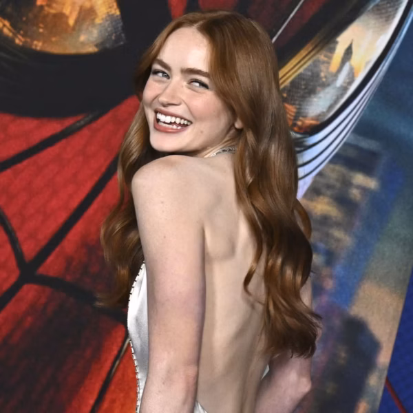 Jean Grey Spider-Man Brand New Day