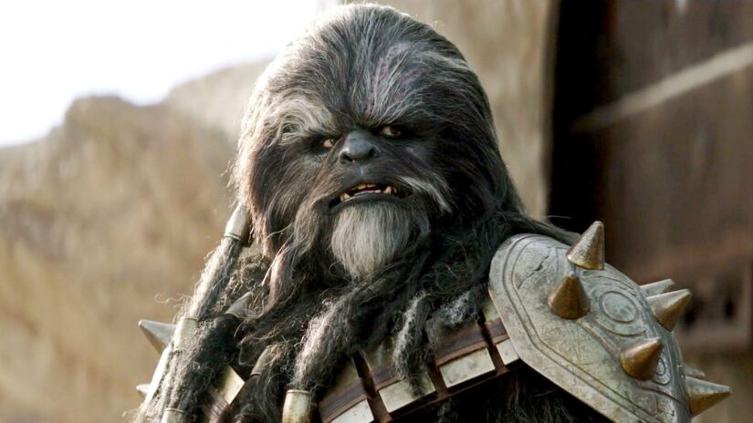 Wookiee star wars