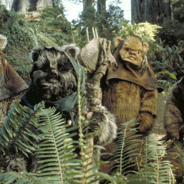 ewoks star wars