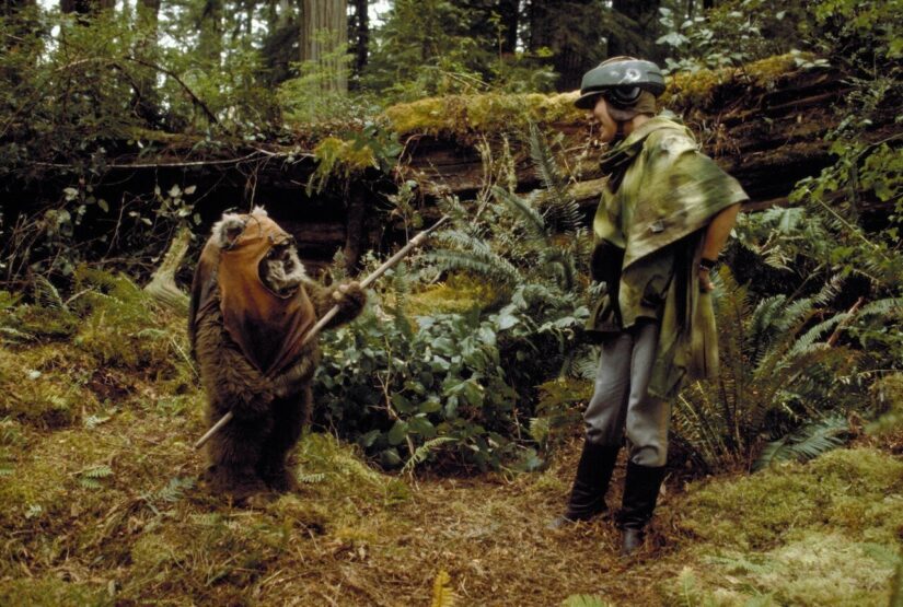 ewoks star wars