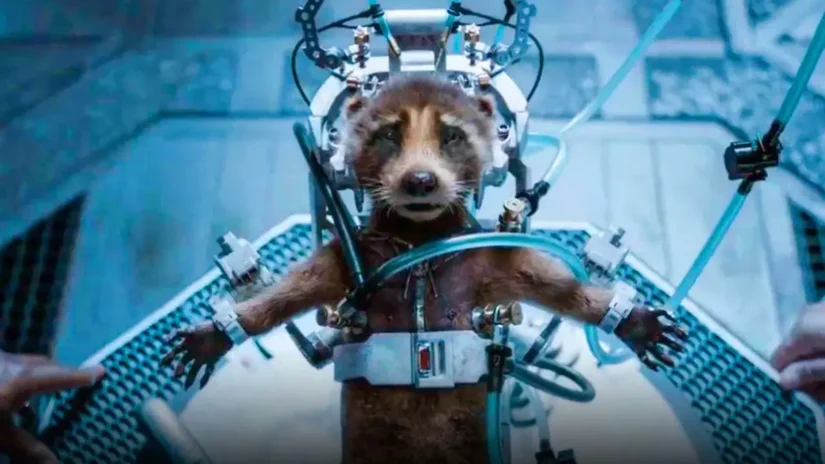Rocket Raccoon marvel movies